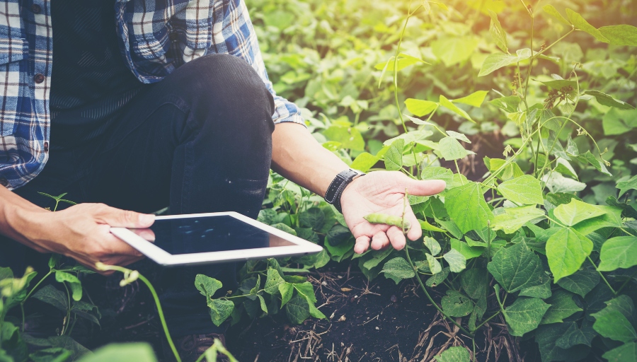 Emprendimiento en el entorno rural