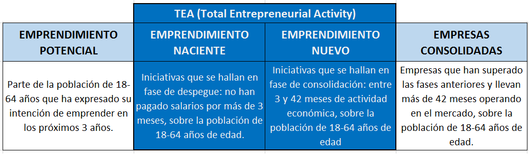 tae_gem_españa_emprendimiento