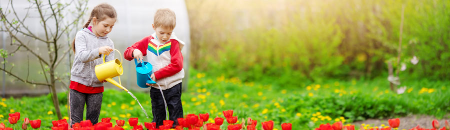 niños regando