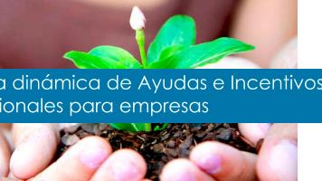 Banner Ayudas e incentivos