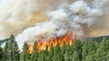 El Gobierno activa ayudas extraordinarias para autónomos y empresas afectadas por los incendios forestales